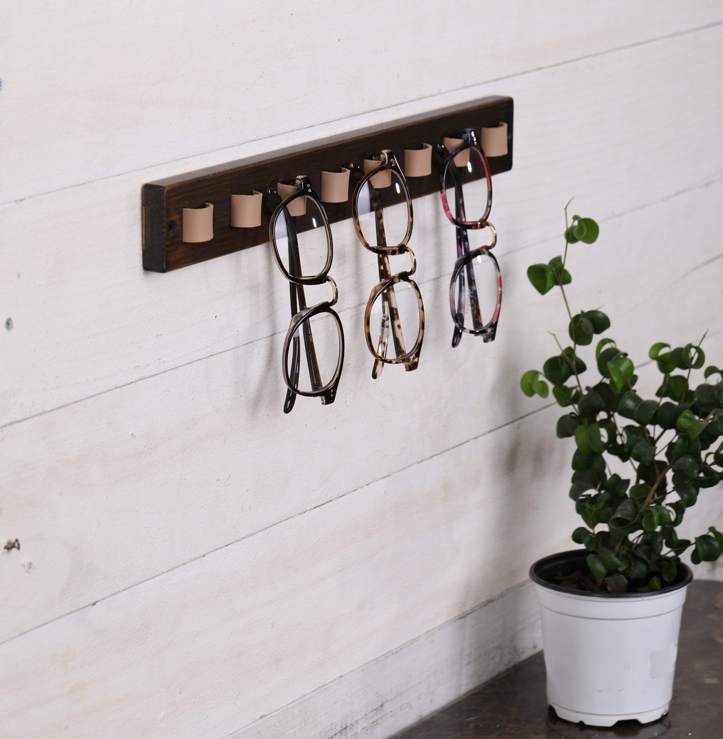 "SHADES BY VINCI" SUNGLASS HOLDER KIT