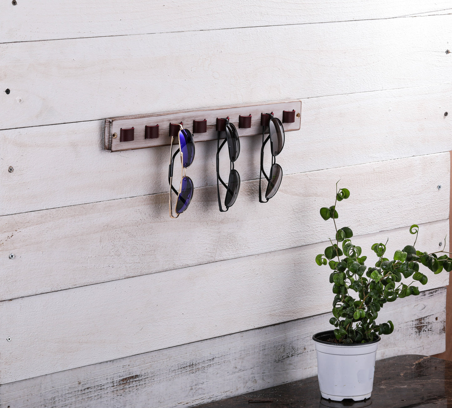 "SHADES BY VINCI" SUNGLASS HOLDER KIT